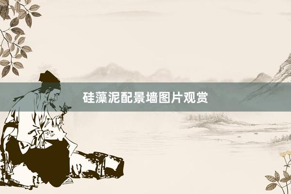 硅藻泥配景墙图片观赏